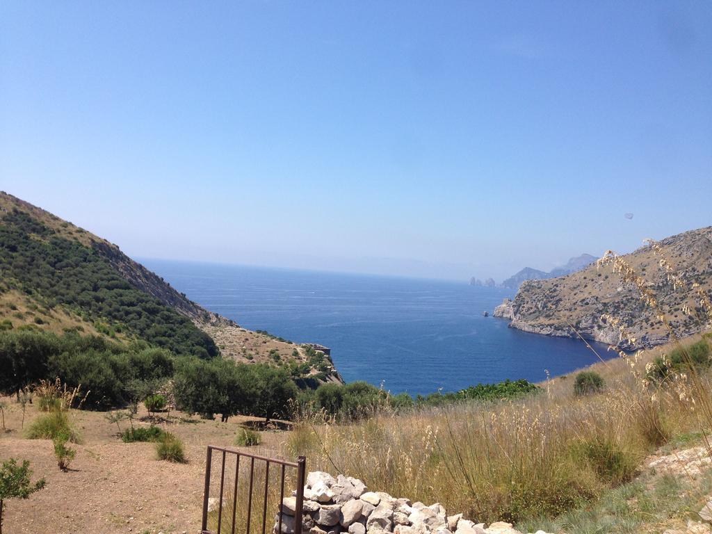 Olga'S Residence Relais Nerano Εξωτερικό φωτογραφία